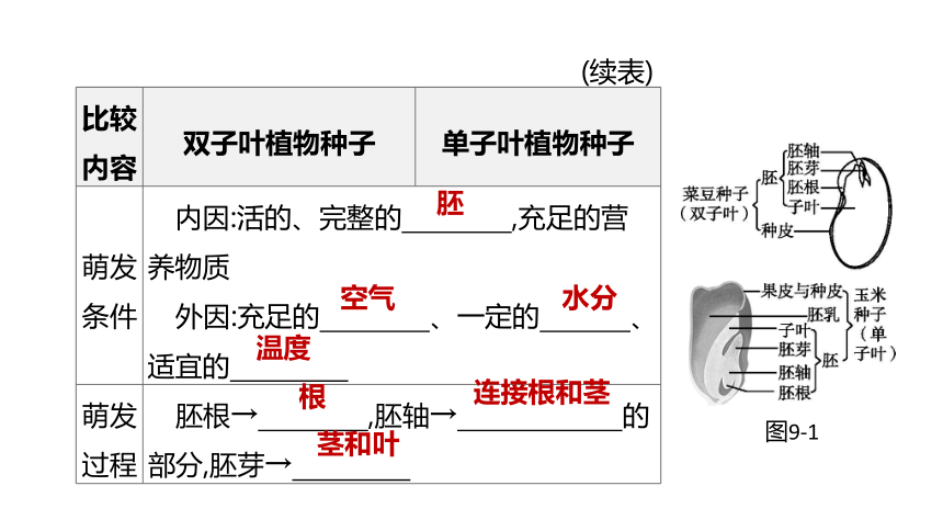 2022年浙江省中考科学一轮复习 第09课时　生物的生殖和发育（课件 37张PPT）