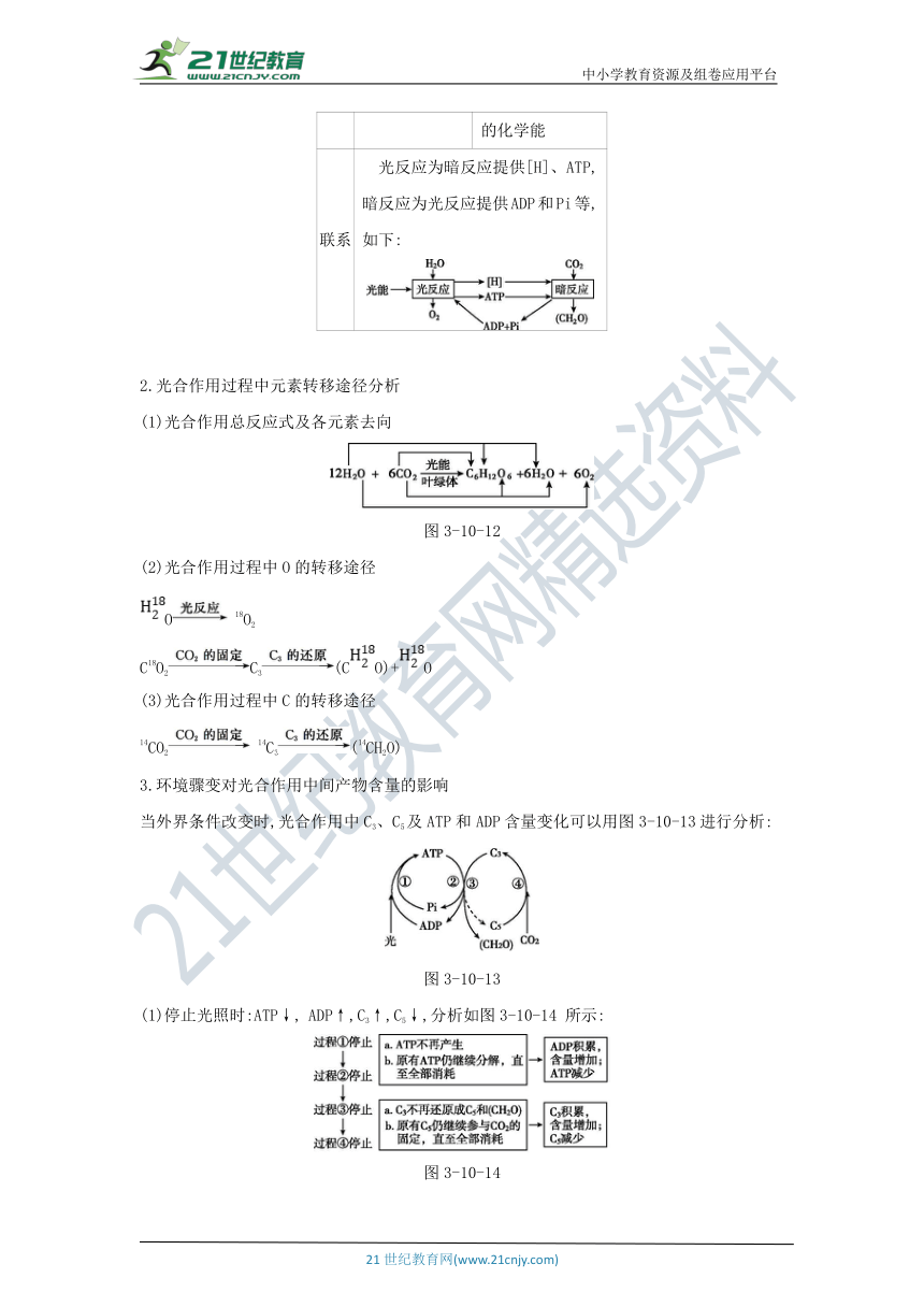 考点梳理&同步真题：第10讲  第2课时   光合作用的过程及影响因素（含答案详解）