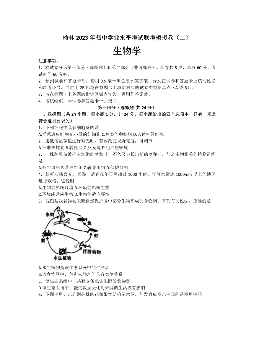 2023年陕西省榆林榆林初中学业水平考试联考模拟卷（二）(含答案)