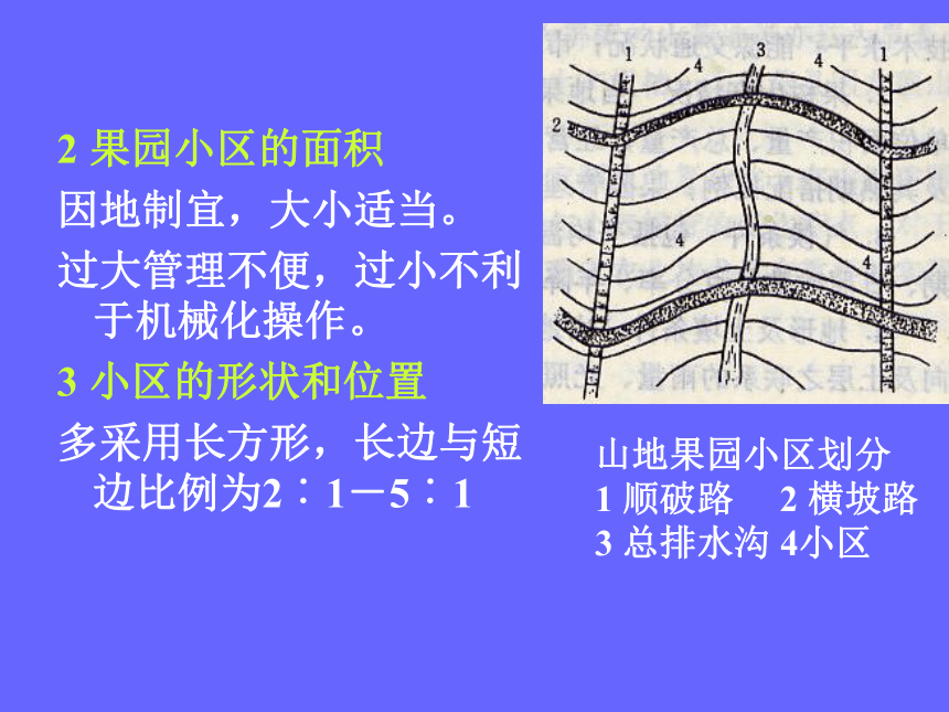 1.6 建立果园 课件(共40张PPT)- 《果树栽培学（第4版）》同步教学（中国农业出版社）