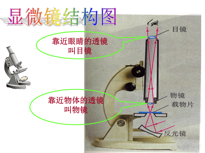 人教版物理八年级上5.5显微镜和望远镜 课件（26张）