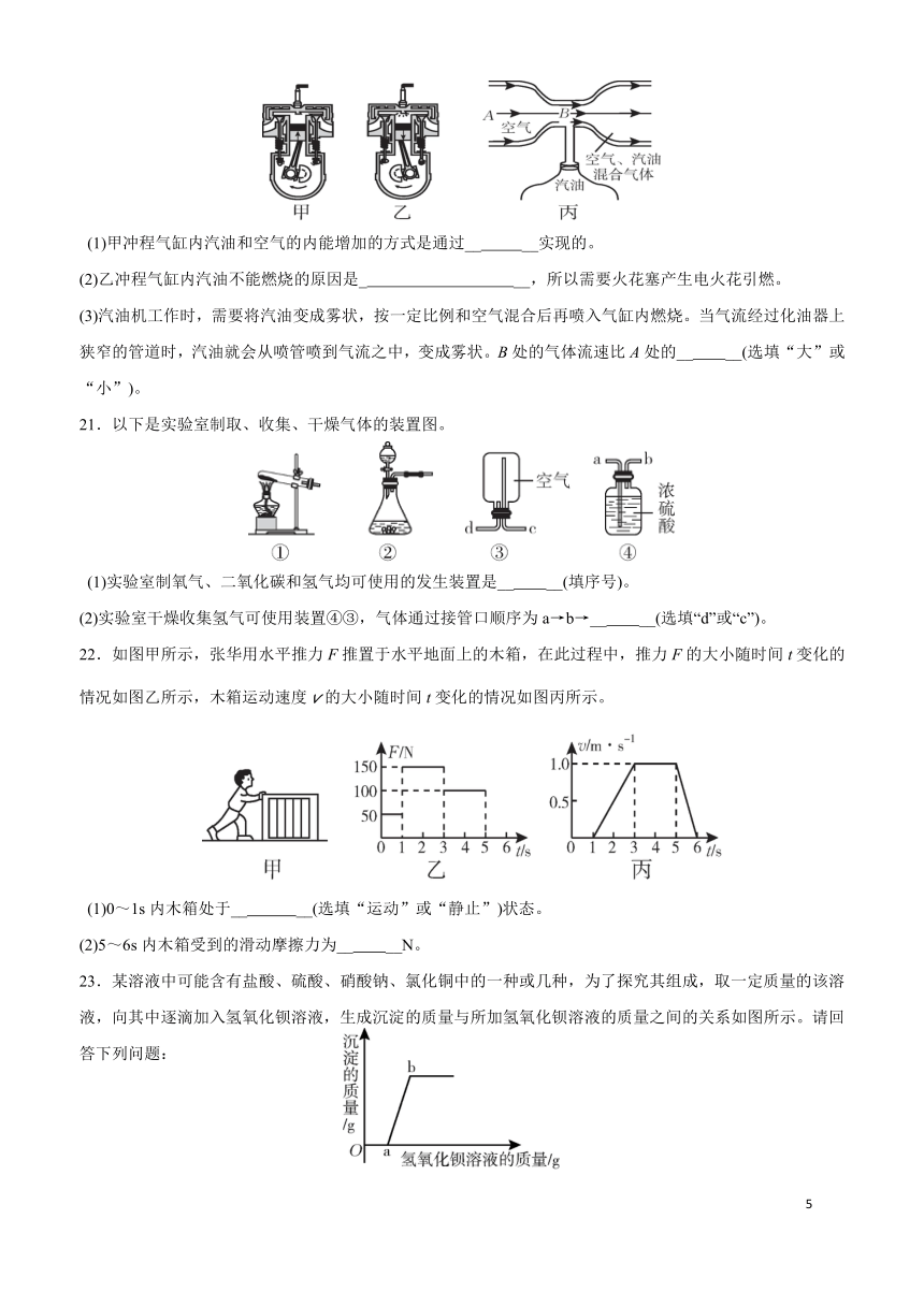 浙江省绍兴市新昌县2019届九年级中考模拟科学试题（word版 含答案）