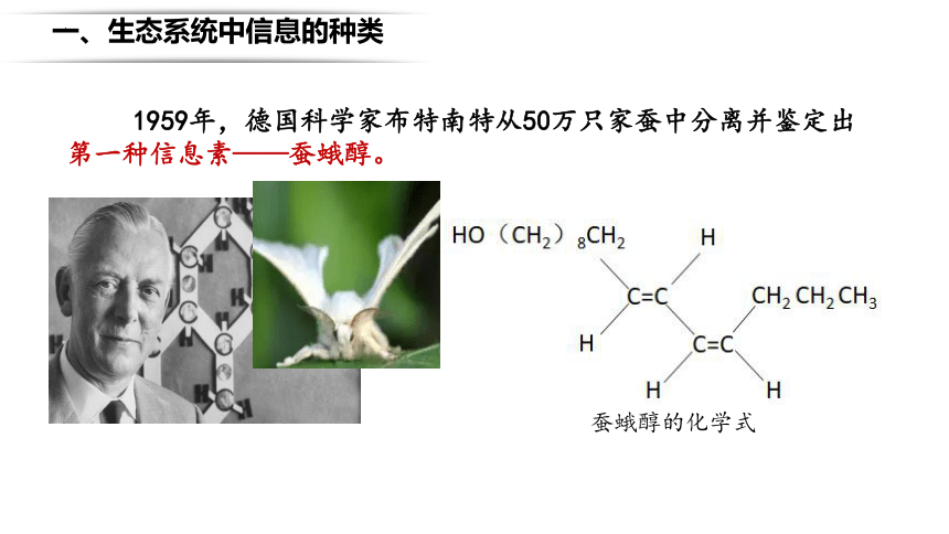 3.4生态系统的信息传递课件（共36张PPT)-人教版（2019）选择性必修2