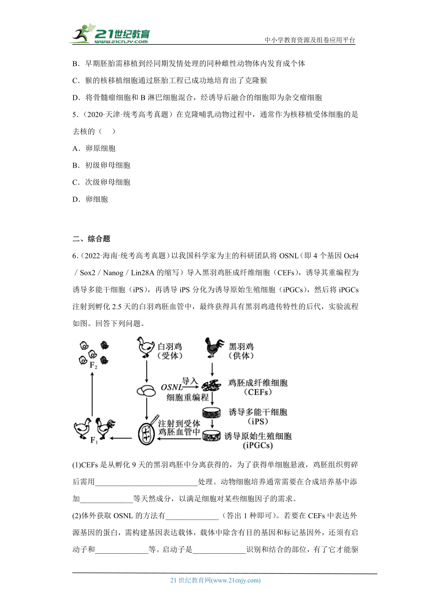 五年2018-2022高考生物真题按知识点分类汇编96-生物技术工程-细胞工程、动物细胞体细胞的核移植技术和克隆动物（含解析）