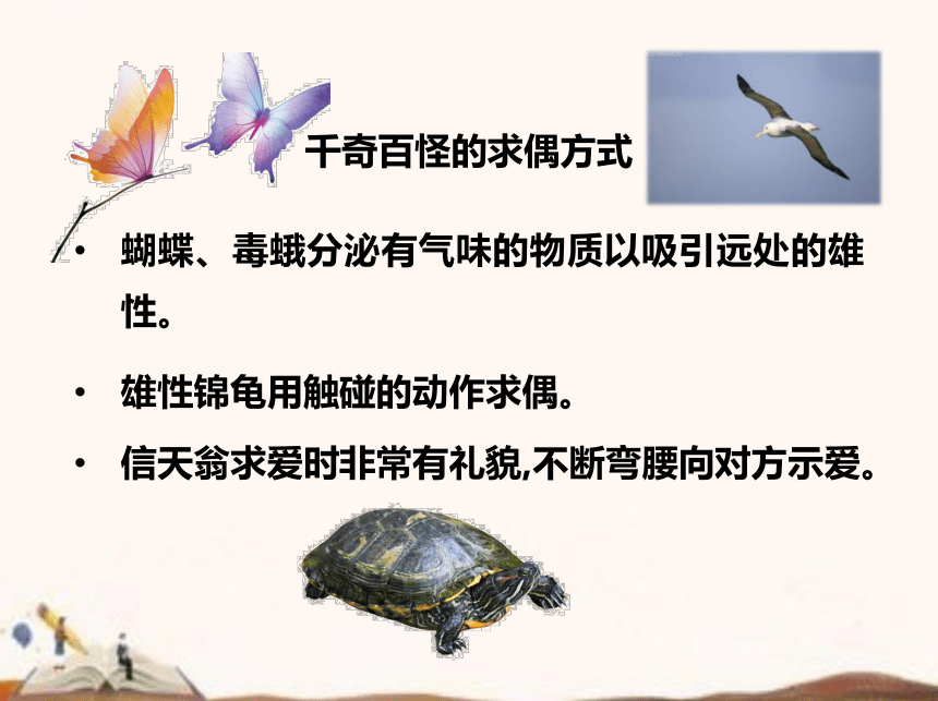 苏教版（2017秋）四年级下册科学4.14.动物的繁殖  (课件27ppt)