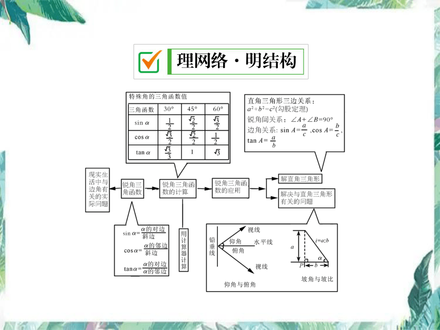 华师大版九年级上册 24解直角三角形复习课件(共19张PPT)