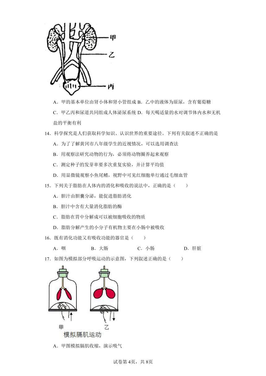 冀少版七年级下期中模拟试卷（一）(含解析)