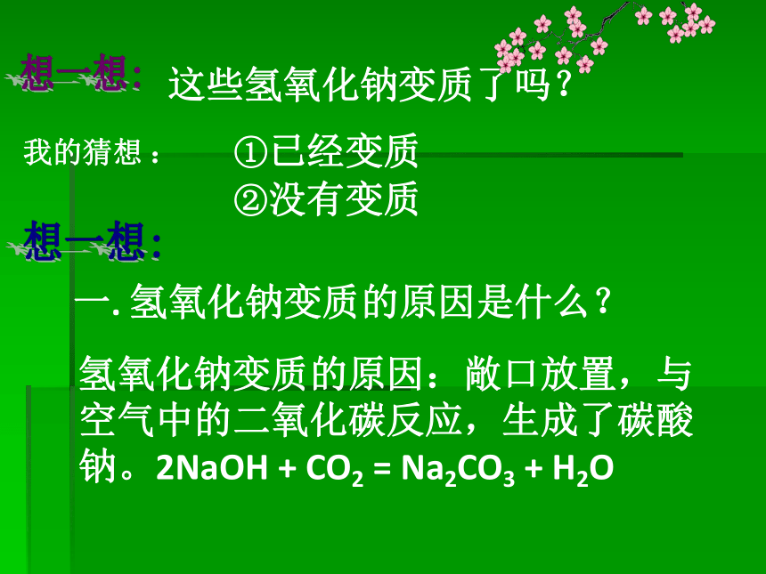 氢氧化钠变质情况的探究 课件(共20张PPT)