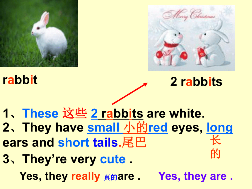 Unit 12 Whose rabbits are these? 课件(共20张PPT)