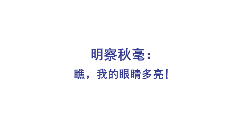 明察秋毫：瞧，我的眼睛多亮 课件 一年级心理健康上册 （深圳版）(共30张PPT内嵌视频)