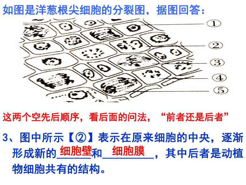 2021-2022学年人教版七年级生物上册第二单元第二章细胞怎样构成生物体复习课件(共46张PPT)