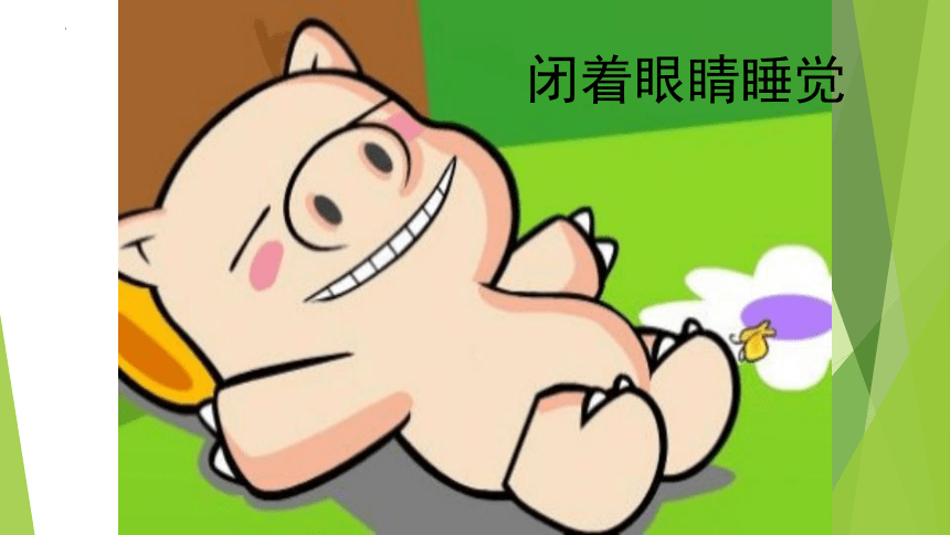 第14课可爱的动物——小猪吃的饱饱 课件(共14张PPT)