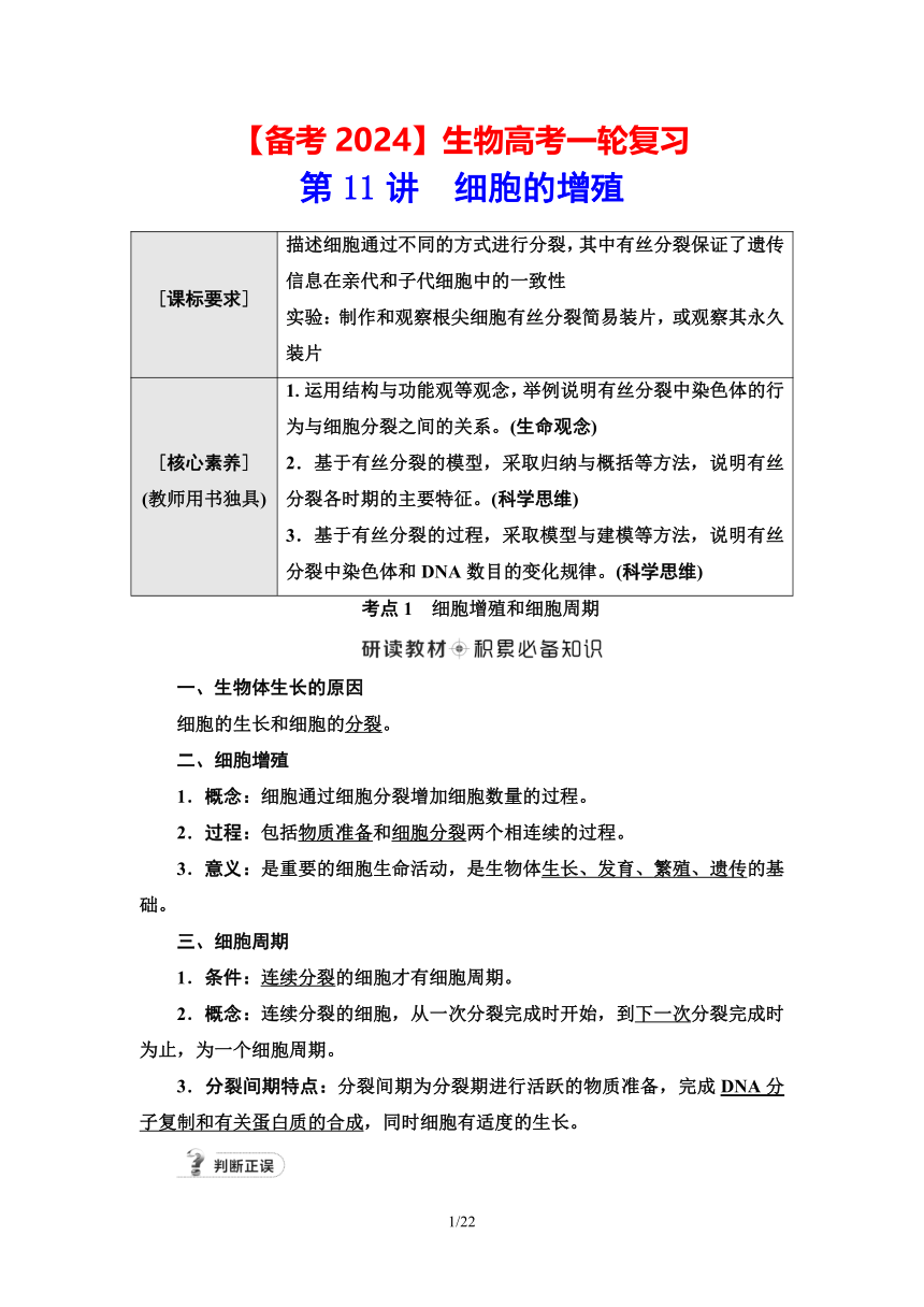 【备考2024】生物高考一轮复习学案：第11讲 细胞的增殖(含答案）