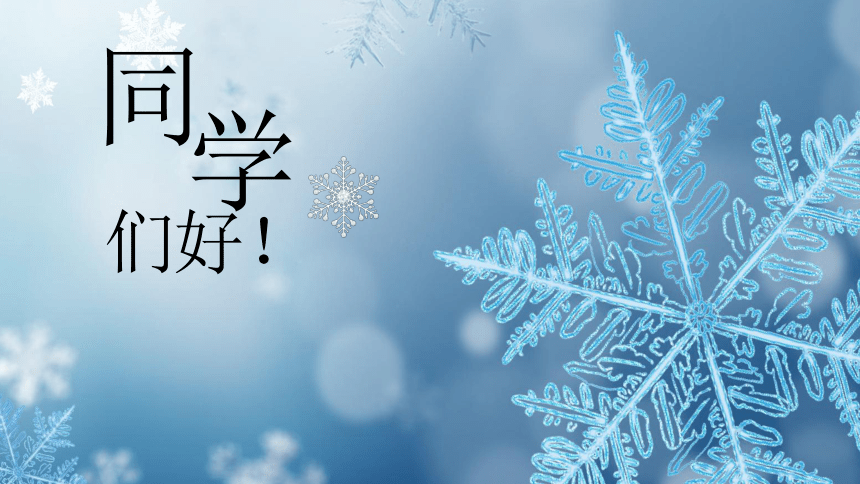 湘艺版 二年级上册欢乐的小雪花课件(共26张PPT)