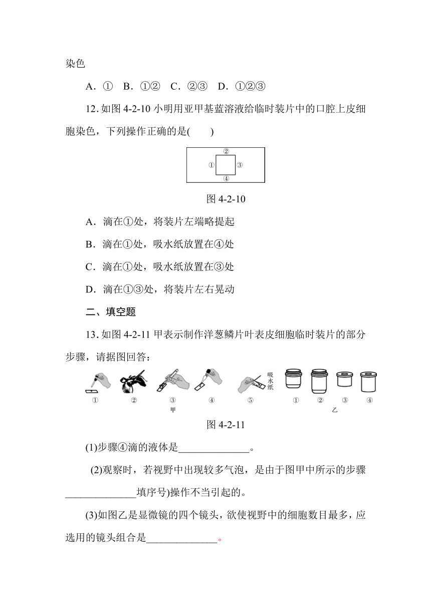 华东师大版科学 七年级上册 阶段性训练一(制临时装片)（含答案）