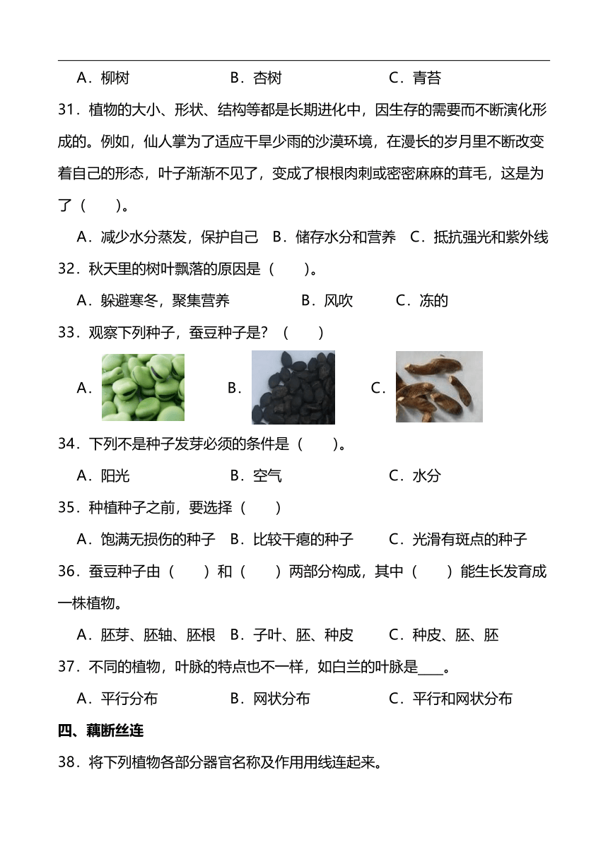 青岛版（五四制2017）三年级下册科学《植物的生长》同步单元练(含答案）