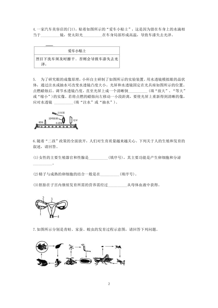 浙教版七年级科学2022-2023学年下学期“期中冲刺”分类题型训练（十二）：填空题（7）【word，含答案】