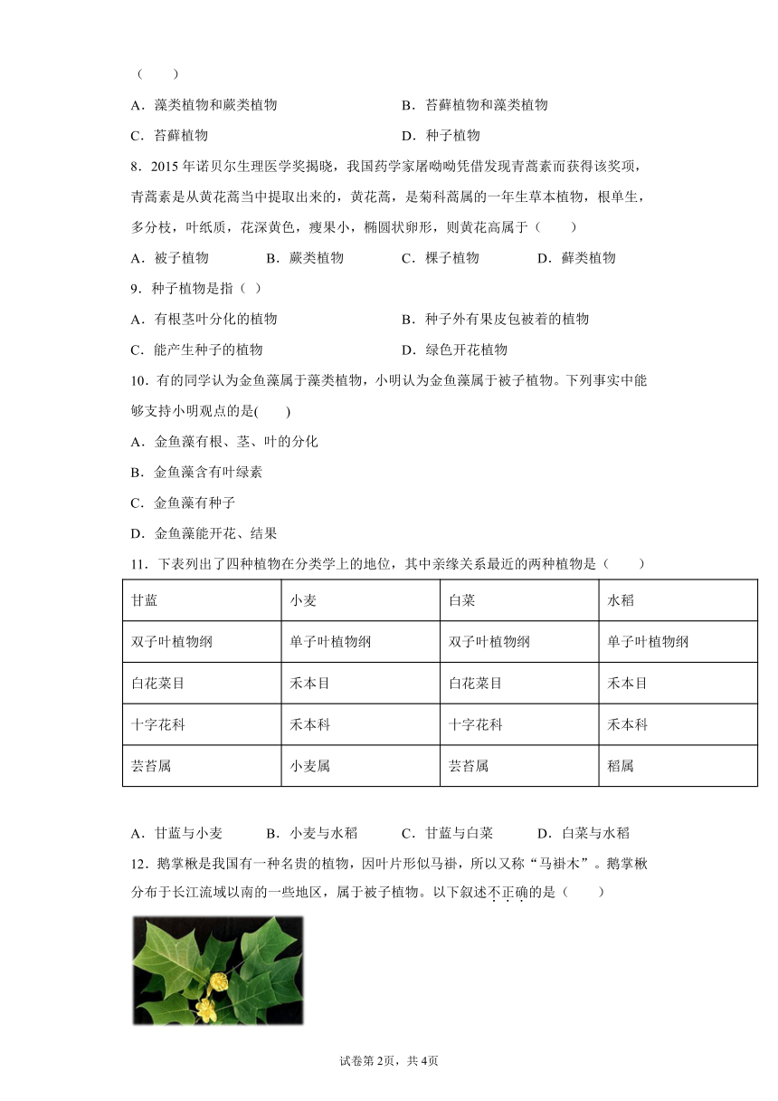 2.5 常见的植物 同步练习（含解析）