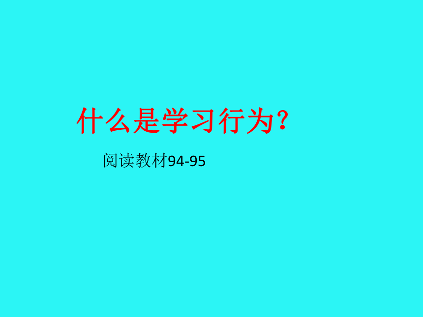 2021-2022学年苏教版八年级生物上册18.2动物行为的生理基础 课件(共32张PPT)