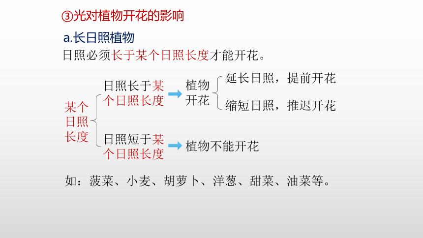 2021—2022学年高中生物人教版（2019）选择性必修一5.4 环境参与调节植物的生命活动课件（29张ppt）