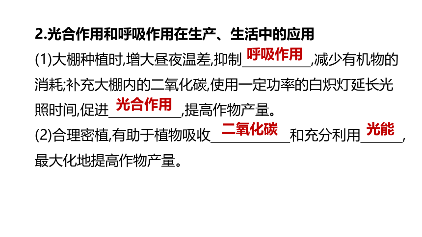 2022年浙江省中考科学一轮复习 第04课时　绿色植物的光合作用和呼吸作用（课件 64张PPT）