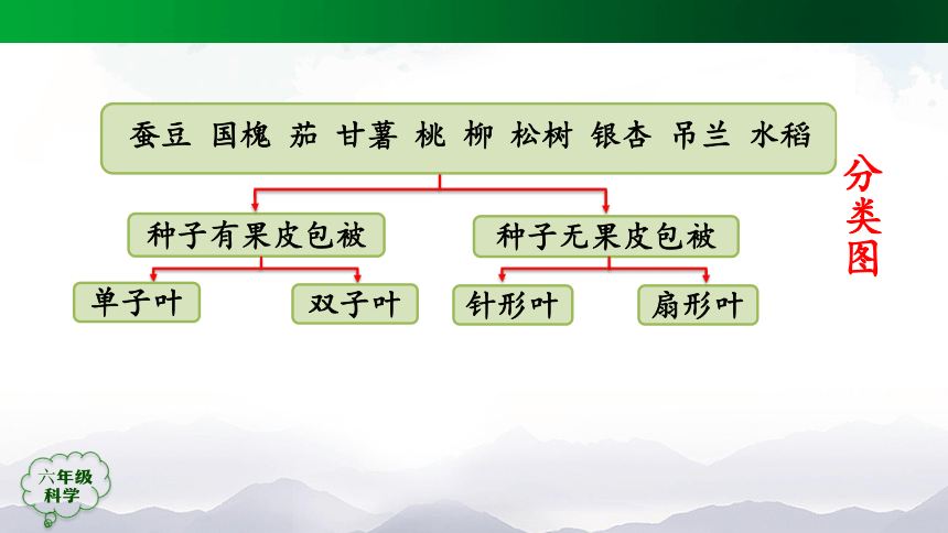 人教鄂教版（2017秋）科学六上 第二单元 田野里的生物(单元回顾) 课件(38张ppt)+内嵌视频