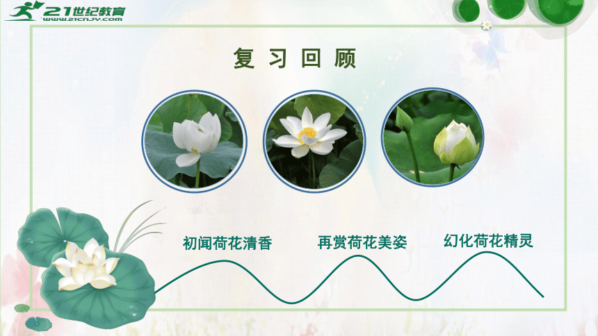 第3课《荷花》  第二课时  课件