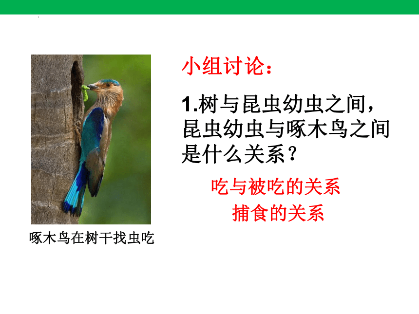 1.2.2生物与环境组成生态系统课件(共23张PPT)2023-2024学年人教版生物七年级上册