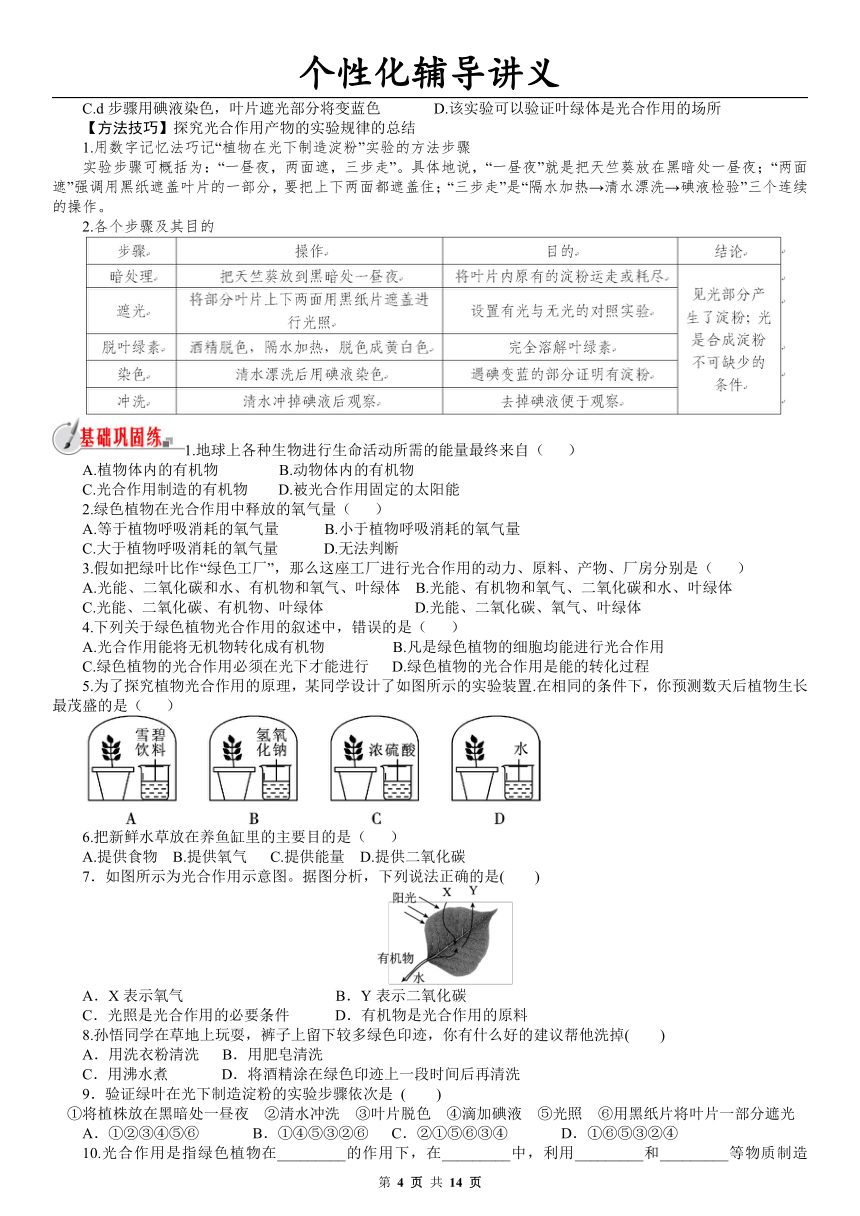 3.6.光合作用 专题复习讲义（学案 无答案）