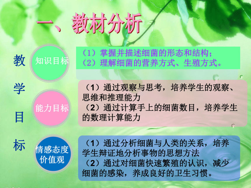 冀少版八年级生物上册  5.1.1  细菌    说课课件（共38张PPT）