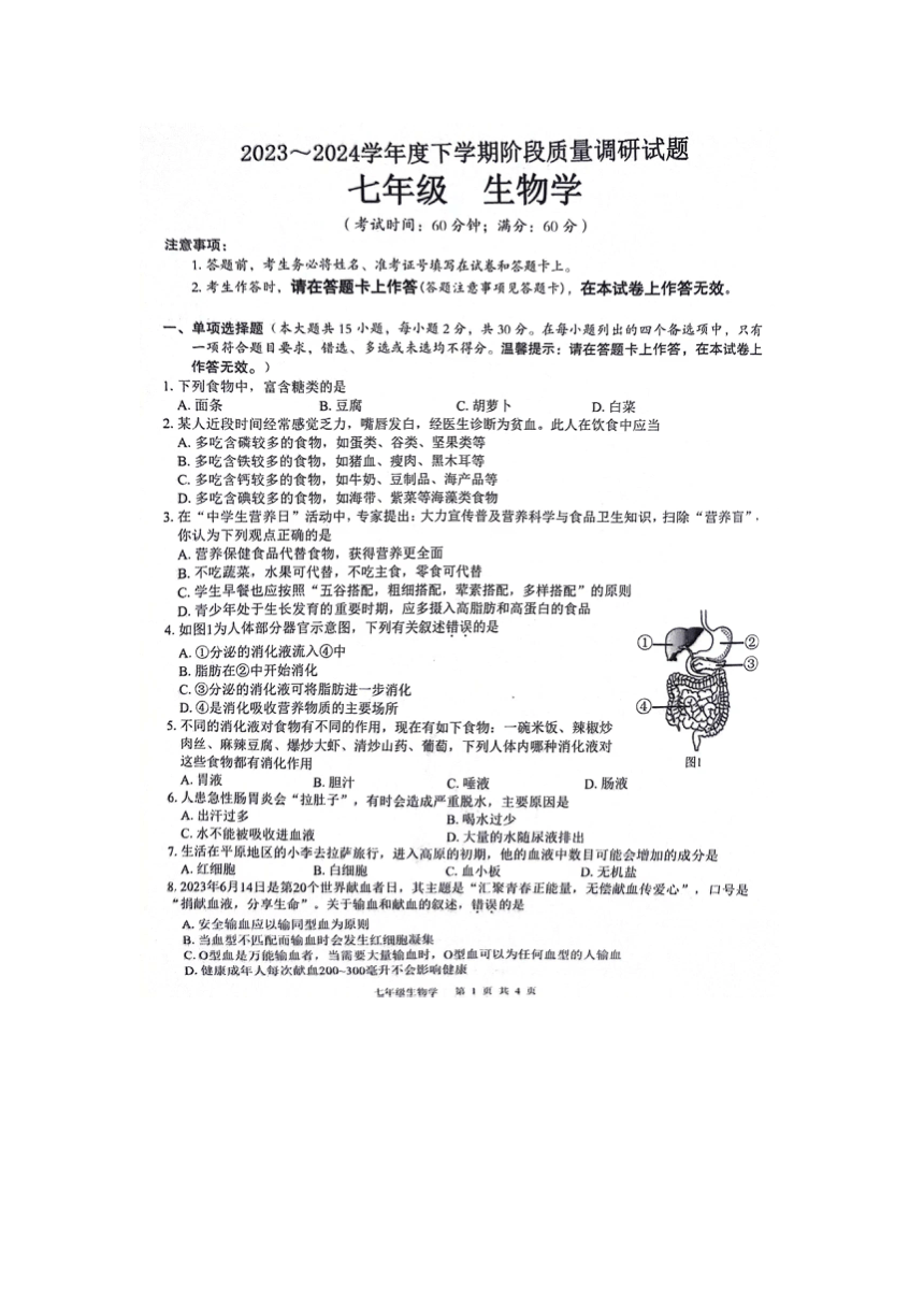 广西壮族自治区百色市2023-2024学年七年级下学期4月期中生物试题（图片版含答案）