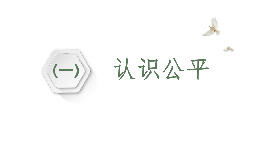 8.1 公平正义的价值 课件(共29张PPT) 统编版道德与法治八年级下册