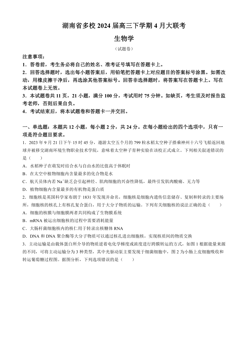 湖南省多校2024届高三下学期4月大联考生物学试题（含解析）