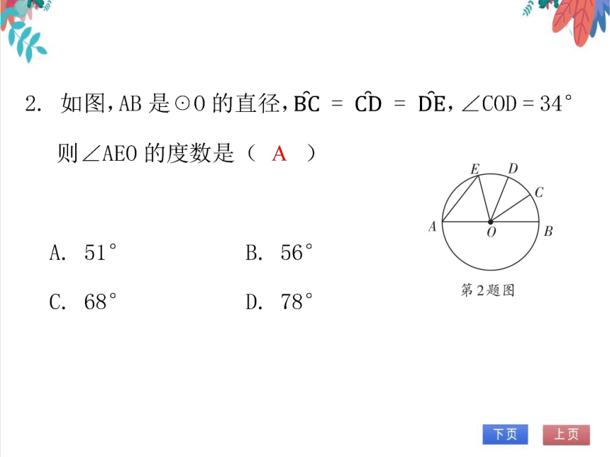 【北师大版】数学九年级（下）3.2 圆的对称性 习题课件