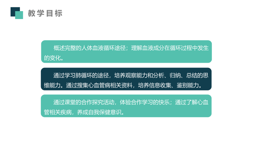 3.3.3物质运输的途径（肺循环）说课课件(共16张PPT)济南版生物七年级下册