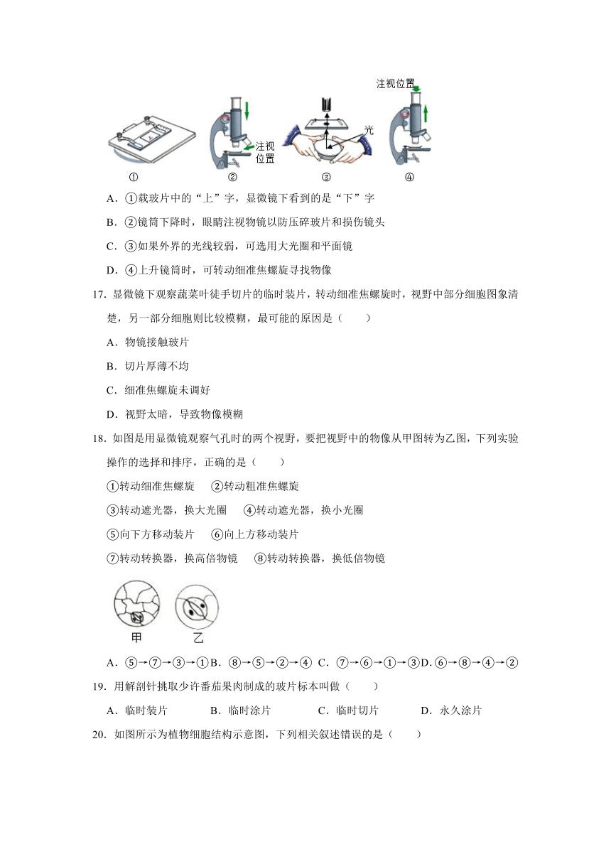 2020-2021学年山东省东营市河口区六年级（上）期末生物试卷（五四学制）（word版，含解析）