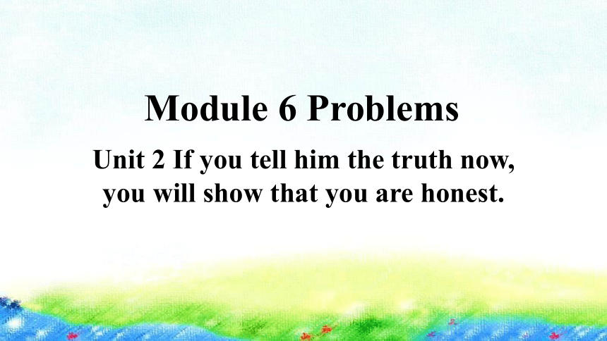 Module 6 Problems Unit 2 课件（24张PPT)