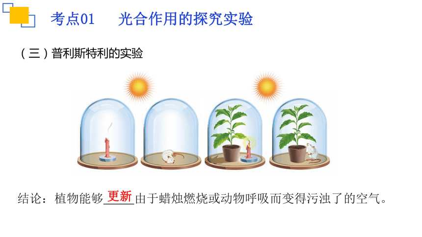 专题07 绿色植物的光合作用课件(共18张PPT)2023年中考生物复习