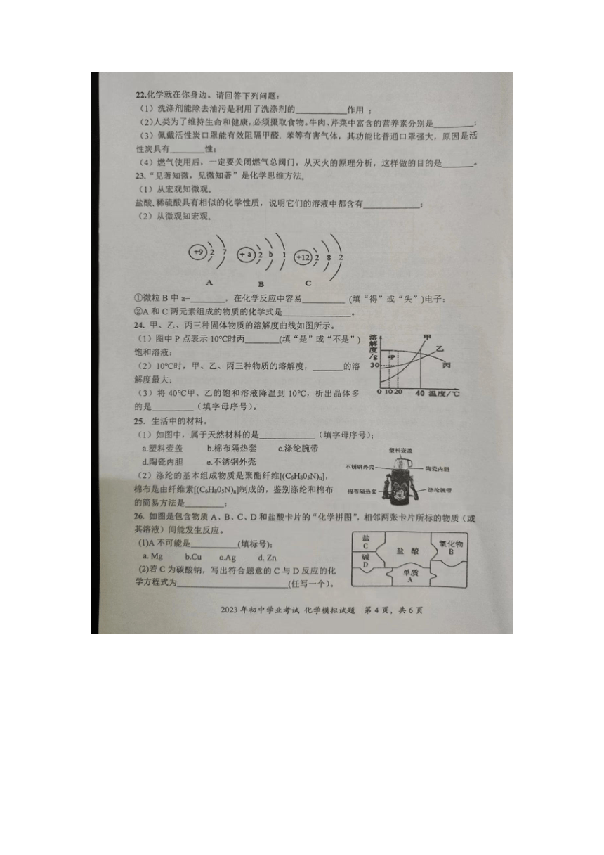 2023年湖南省株洲市攸县初中学业考试模拟化学试题（图片版  含答案）