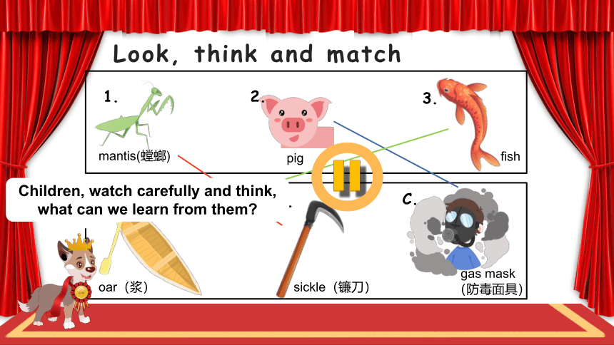 Module 4 Unit 11 Small animals Period 5 课件(共10张PPT)