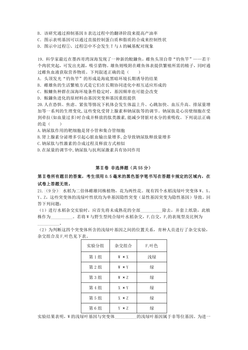 山东省山东师大附高2022届高三上学期期中考试生物试卷（Word版含答案）