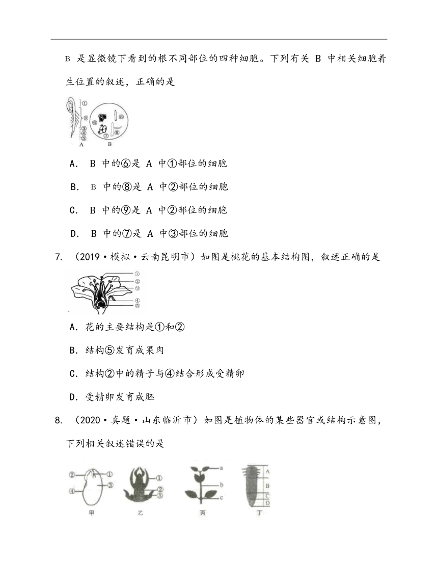 2020-2021学年人教版七年级生物上册第三单元第二章被子植物的一生单元练习(word版含答案解析）