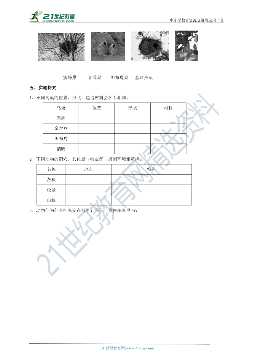 5.16《动物的庇护所》练习（含答案）