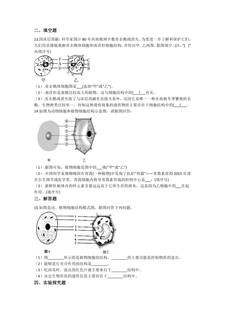 2.2细胞 同步练习（含解析）