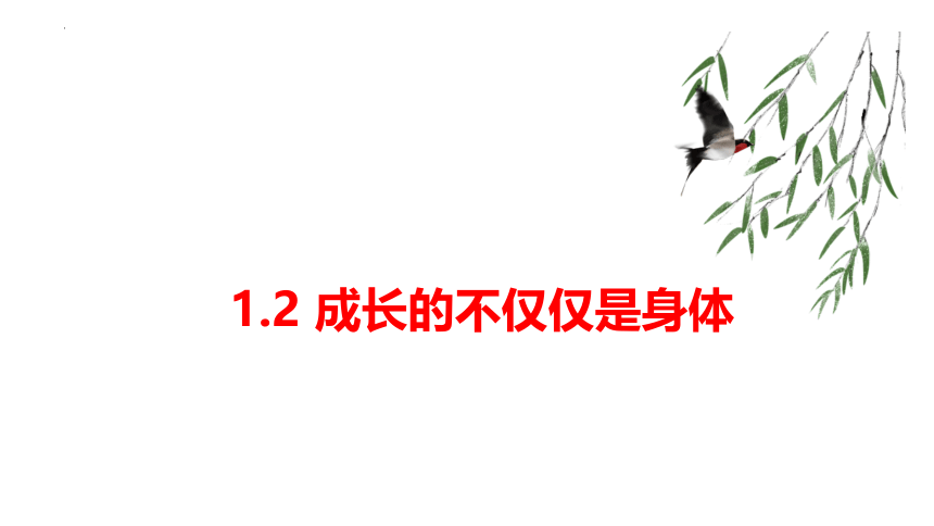 1.2 成长的不仅仅是身体 课件（22张PPT）