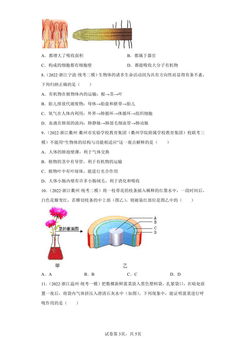 浙江省2022年中考科学模拟题汇编-08绿色植物的新陈代谢（选择题，含解析）