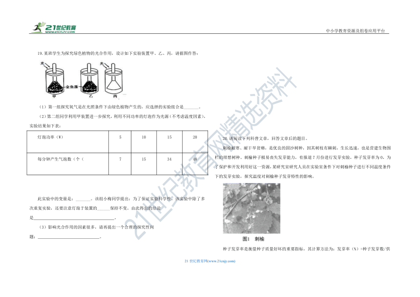 人教版七年级生物 上册 第三单元 生物圈中的绿色植物 单元测试 C卷（含解析）