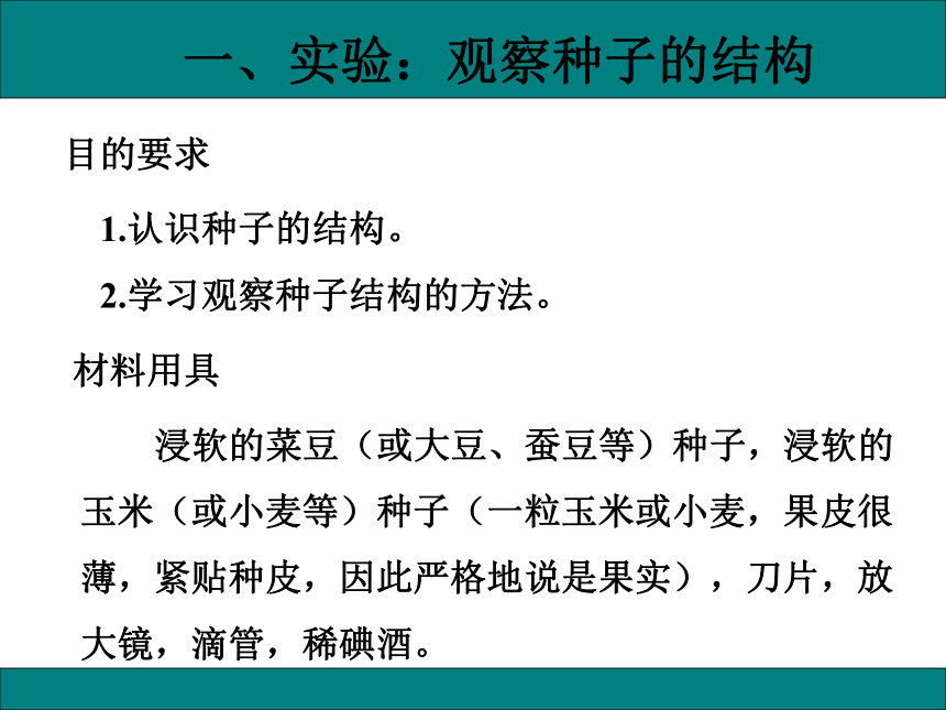 初中生物人教版七年级上册3.1.2种子植物（第一课时）课件(共22张PPT)