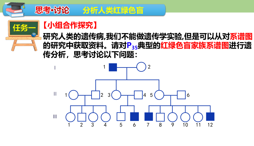 2.3伴性遗传课件-(共32张PPT)人教版必修2