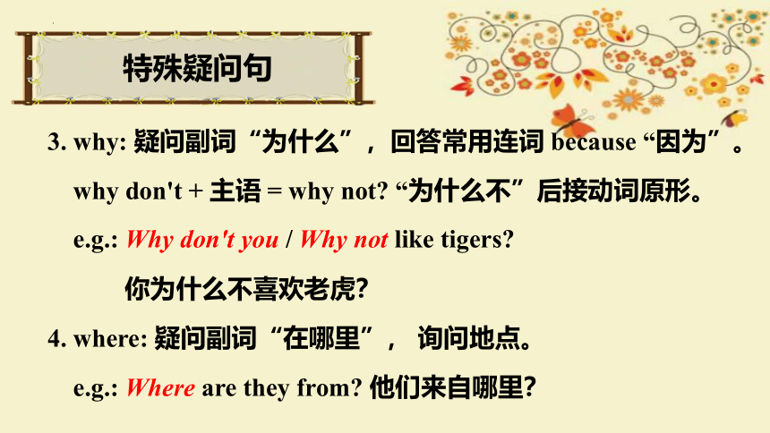 Unit 5 Why do you like pandas  Section A (Grammar Focus-3c)课件(共21张PPT)